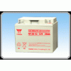 湯淺蓄電池 湯淺NP100-12 (12V100SAH)