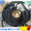 洋銘50米專用視頻正送返送通話tally供電綜合線纜線材
