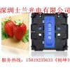 龍灣室內(nèi)P4.81租賃屏 龍灣室內(nèi)P4.81婚慶租賃屏