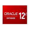 Oracle數(shù)據(jù)庫(kù) Database 12c 企業(yè)版