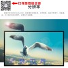 希沃OEM 觸摸電腦電視一體機(jī)教學(xué)觸摸一體機(jī)75寸