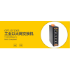 奧普特旺工業(yè)級(jí)OPT-GY1005以太網(wǎng)交換機(jī)