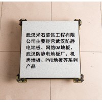 武漢方信防靜電地板、網(wǎng)絡(luò)OA地板、武漢防靜電地板廠、機(jī)房墻板