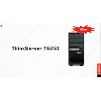 TS250 G4560 4G 1T DVD 鍵鼠