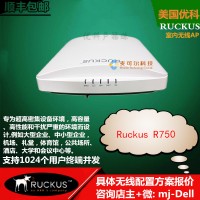 美國(guó)優(yōu)科r750復(fù)雜干擾環(huán)境專用無(wú)線AP Ruckus R750