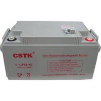 山特蓄電池6GFM-38規(guī)格12V38AH專用UPS不間斷電源