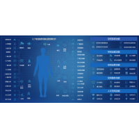 系統集成軟件（IBMS）